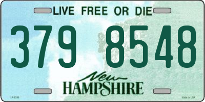 NH license plate 3798548