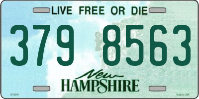 NH license plate 3798563