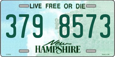 NH license plate 3798573