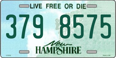 NH license plate 3798575