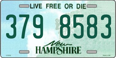 NH license plate 3798583