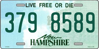 NH license plate 3798589