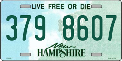 NH license plate 3798607