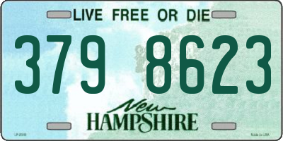 NH license plate 3798623