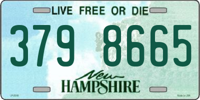 NH license plate 3798665