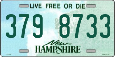 NH license plate 3798733