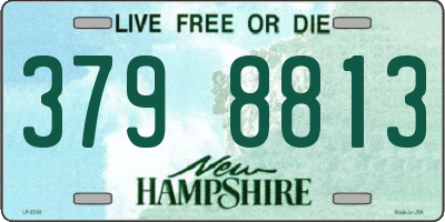 NH license plate 3798813