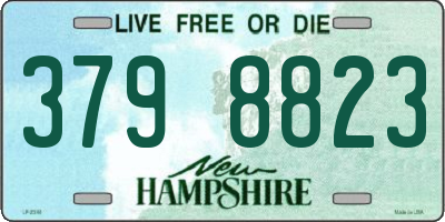NH license plate 3798823