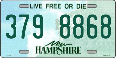 NH license plate 3798868