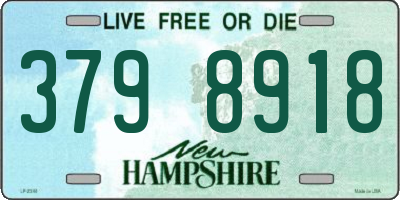 NH license plate 3798918