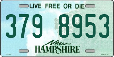 NH license plate 3798953
