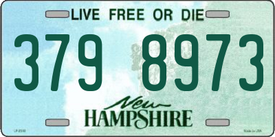 NH license plate 3798973