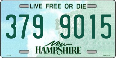 NH license plate 3799015