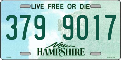 NH license plate 3799017