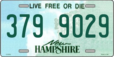 NH license plate 3799029