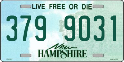 NH license plate 3799031