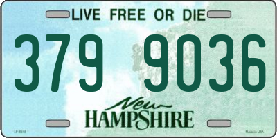 NH license plate 3799036