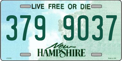 NH license plate 3799037