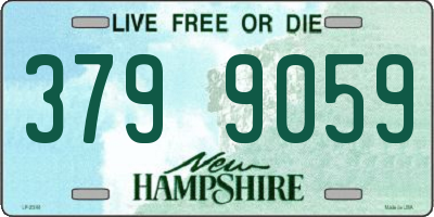 NH license plate 3799059