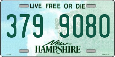 NH license plate 3799080