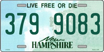 NH license plate 3799083
