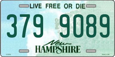 NH license plate 3799089