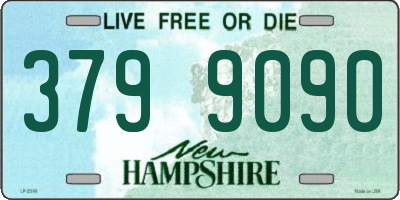 NH license plate 3799090