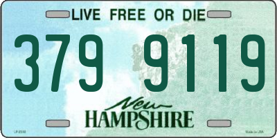 NH license plate 3799119