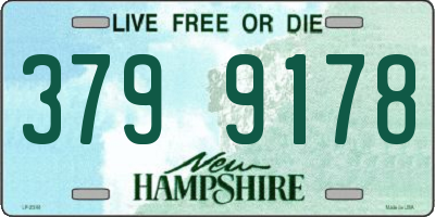 NH license plate 3799178