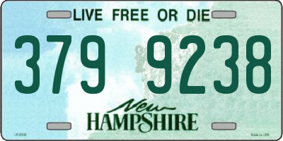 NH license plate 3799238