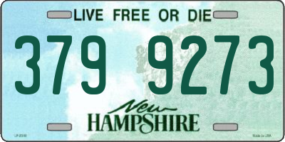 NH license plate 3799273