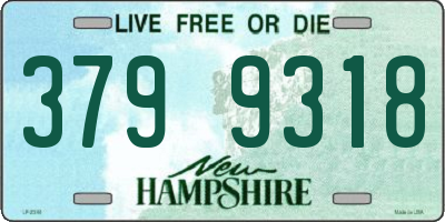 NH license plate 3799318