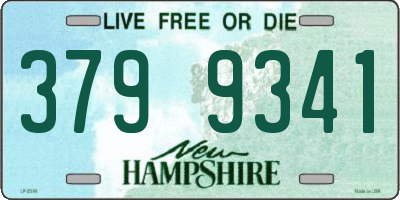 NH license plate 3799341