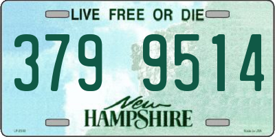 NH license plate 3799514