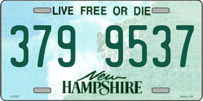 NH license plate 3799537