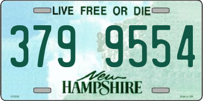 NH license plate 3799554