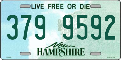 NH license plate 3799592