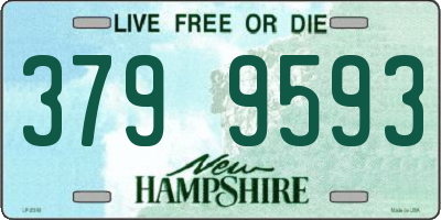NH license plate 3799593