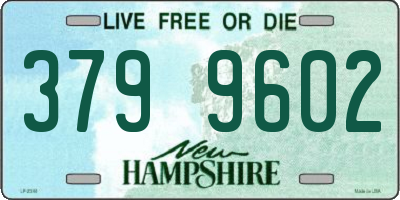 NH license plate 3799602
