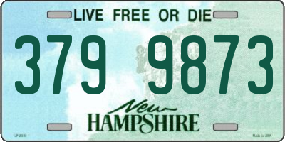 NH license plate 3799873