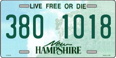 NH license plate 3801018