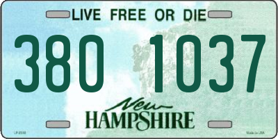NH license plate 3801037
