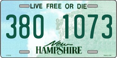 NH license plate 3801073