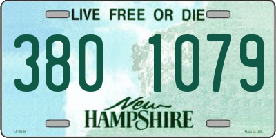 NH license plate 3801079
