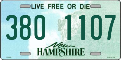 NH license plate 3801107
