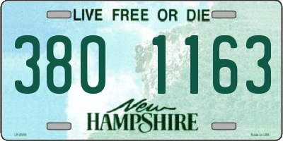 NH license plate 3801163