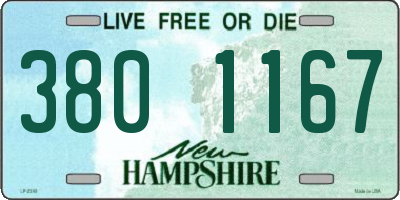 NH license plate 3801167