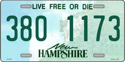 NH license plate 3801173