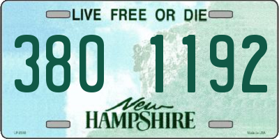 NH license plate 3801192