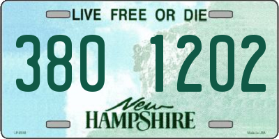 NH license plate 3801202